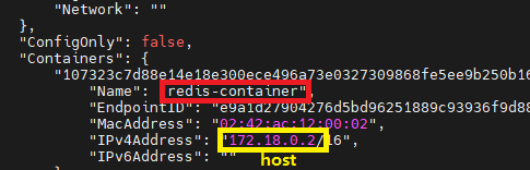 redis-container host 확인 예시